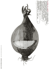 cartel curso ilustracion albarracin 2009